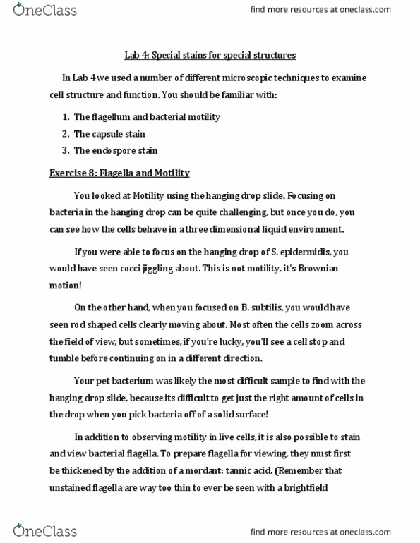 MBIO 1010 Lecture Notes - Lecture 4: Safranin, Spirillum, Clostridium thumbnail