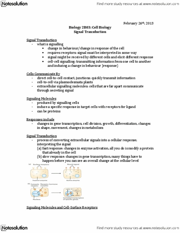 BIOLOGY 2B03 Lecture Notes - Receptor Tyrosine Kinase, Mitogen-Activated Protein Kinase Kinase, Adenylyl Cyclase thumbnail