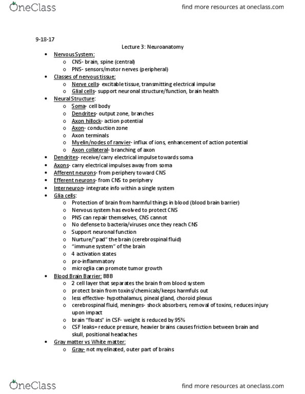 PSY 3061 Lecture Notes - Lecture 3: Striatum, Sagittal Plane, Coronal Plane thumbnail