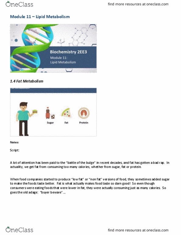 BIOCHEM 2EE3 Lecture Notes - Lecture 16: Alpha And Beta Carbon, Caffeine, Ketogenesis thumbnail