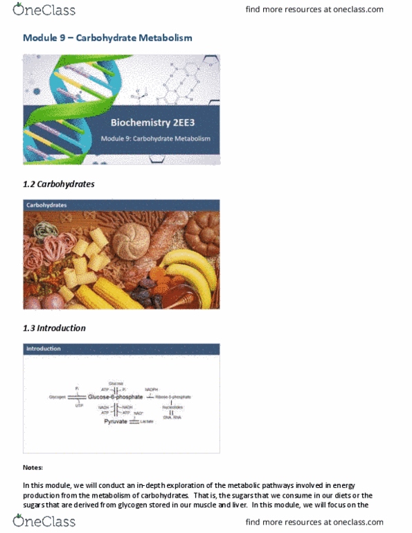 BIOCHEM 2EE3 Lecture Notes - Lecture 13: Covalent Bond, Delayed Onset Muscle Soreness, Glucokinase thumbnail