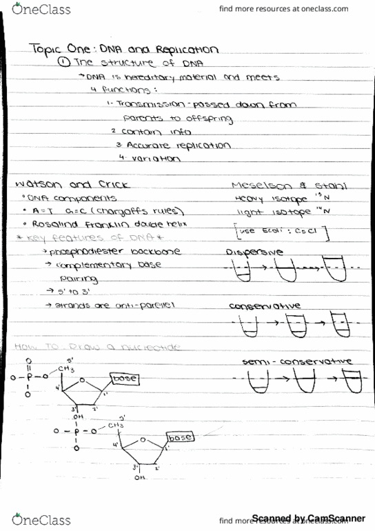 BIOL-207 Lecture 1: BIOL 207 Lecture 1: Topic One: DNA and Replication Fall2017 (Macewan-M.Hills) thumbnail