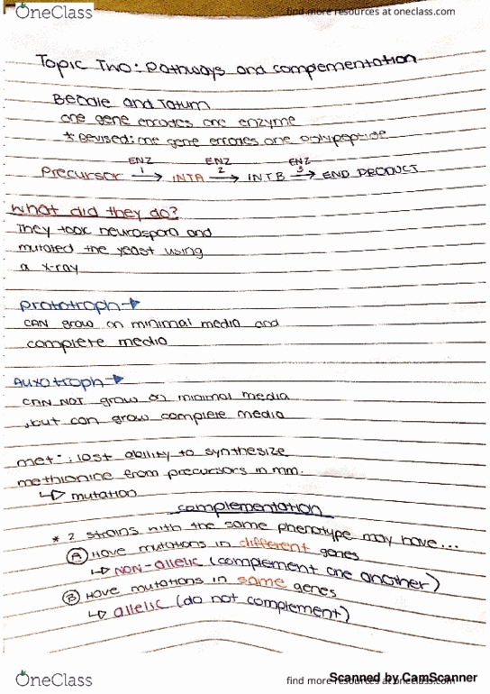 BIOL-207 Lecture 2: BIOL 207 Lecture 2: Topic 2: Pathways and Complementation Fall2017 (Macewan-M.hills) thumbnail