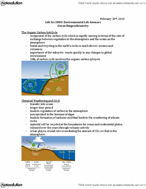 LIFESCI 2H03 Lecture Notes - Algal Bloom, Photic Zone, Aphotic Zone thumbnail