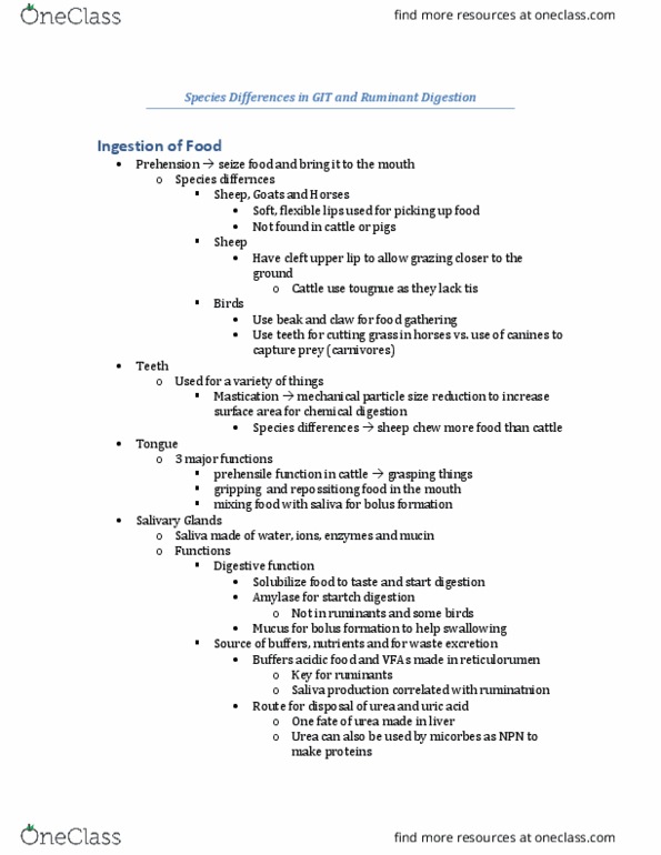 ANSC 3080 Lecture 4: Species Differences in GIT and Ruminant Digestion thumbnail