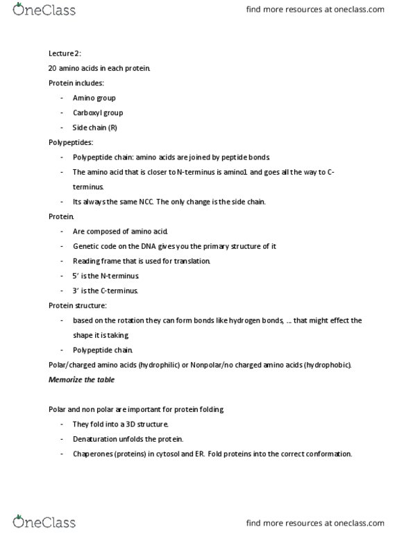 BIOL 2201 Lecture Notes - Lecture 3: Hydrolysis, Alpha Helix, Covalent Bond thumbnail