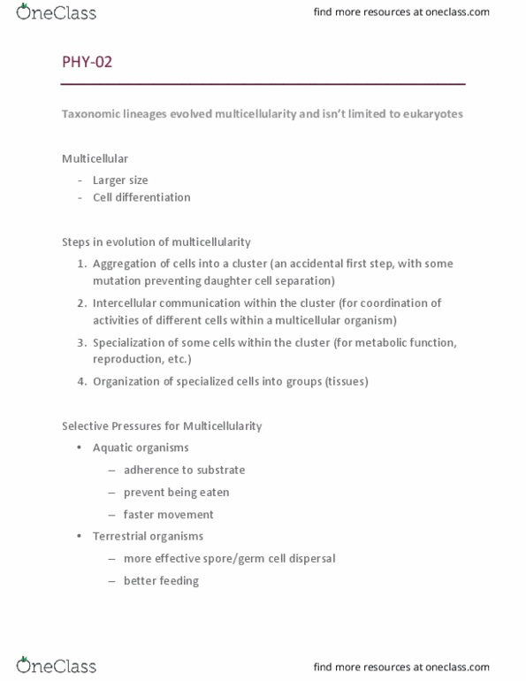 BIO 203 Lecture Notes - Lecture 2: Symporter, Uniporter, Animal thumbnail