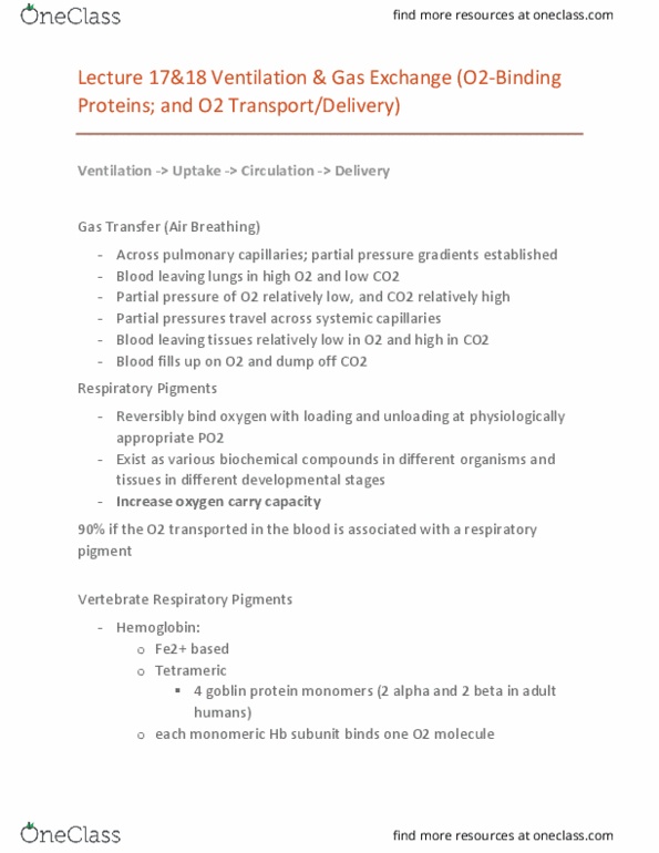 BIO 203 Lecture Notes - Lecture 17: Respiratory Pigment, Partial Pressure, Hemoglobin thumbnail