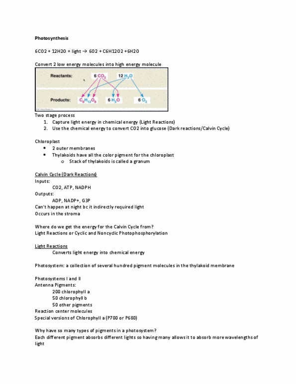 BIOL 1201 Lecture 4: Photosynthesis thumbnail