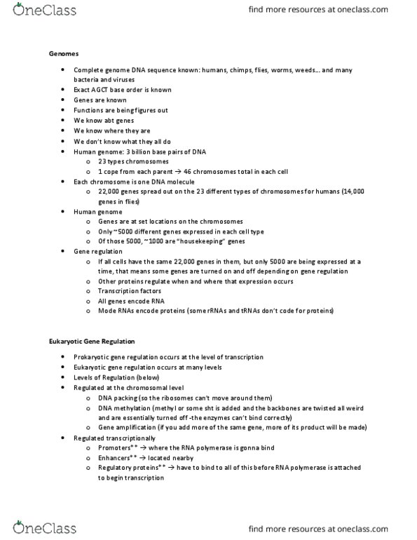 BIOL 1201 Lecture Notes - Lecture 4: Intron, Corepressor, Lac Operon thumbnail