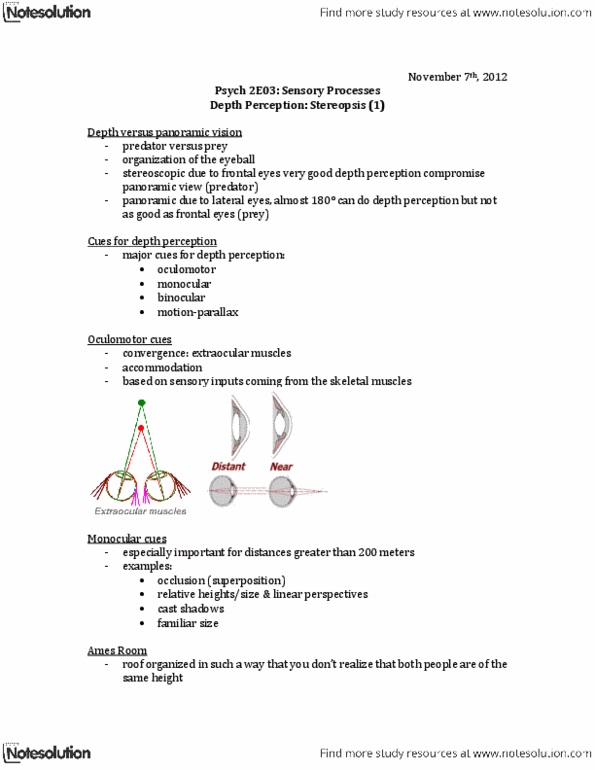 PSYCH 2E03 Lecture Notes - Depth Perception, Horopter, Sightline thumbnail