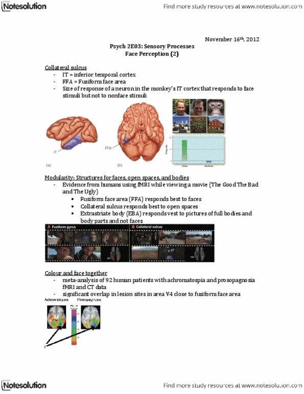 PSYCH 2E03 Lecture Notes - Fusiform Face Area, Inferior Temporal Gyrus, Face Perception thumbnail