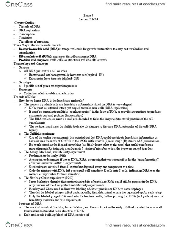 MCB 2610 Lecture Notes - Lecture 14: Pyrophosphate, Consensus Sequence, Reading Frame thumbnail