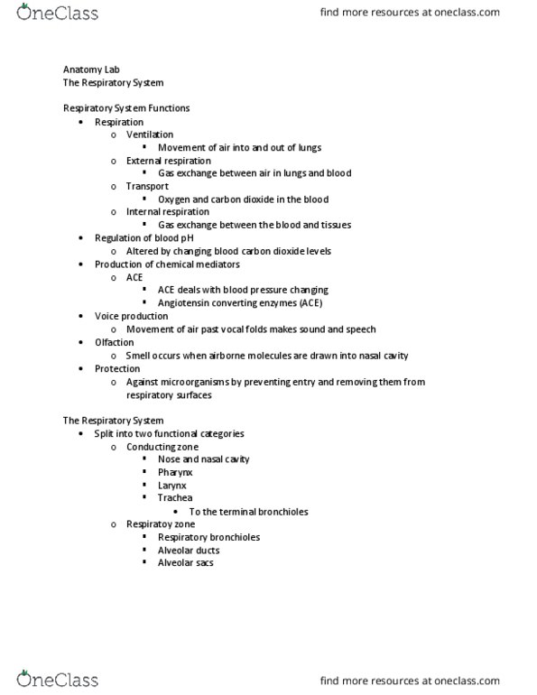 PET 3322L Lecture Notes - Lecture 5: Cartilage, Internal Thoracic Artery, Chronic Obstructive Pulmonary Disease thumbnail