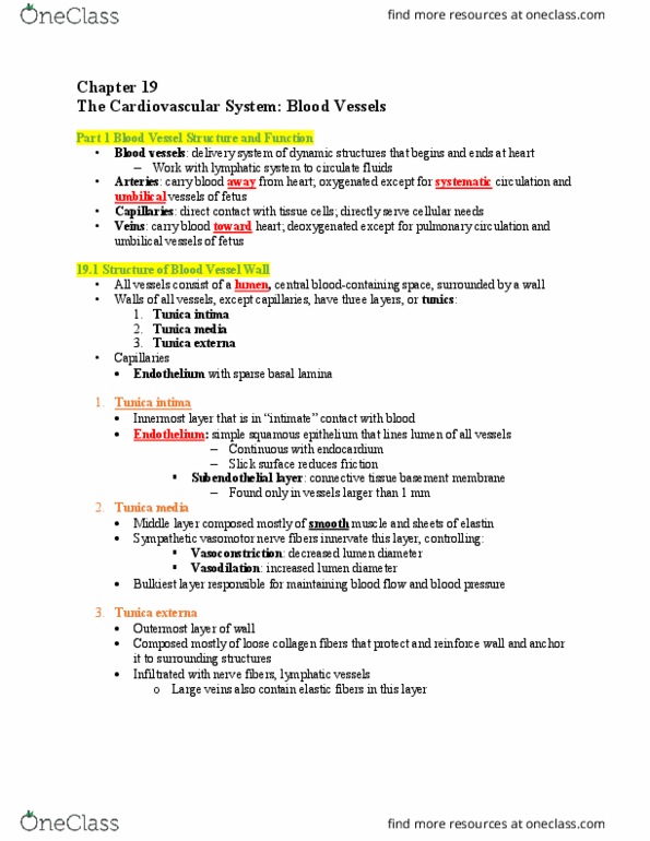 PET-3322 Lecture Notes - Lecture 17: Tight Junction, Cardiac Muscle, Vital Signs thumbnail