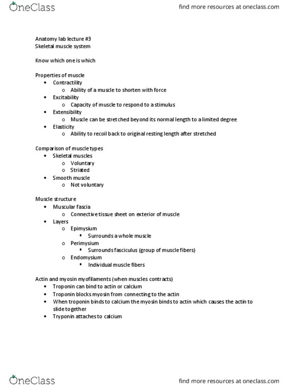 PET 3322L Lecture Notes - Lecture 3: Pectoralis Major Muscle, Latissimus Dorsi Muscle, Semitendinosus Muscle thumbnail