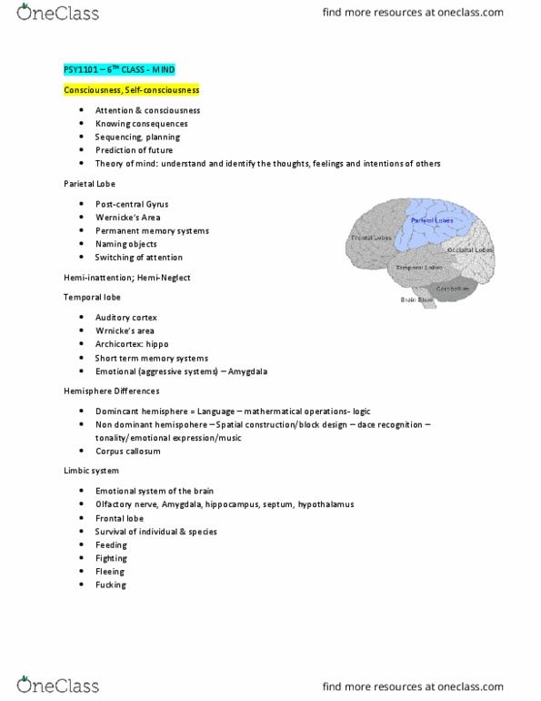 PSY 1101 Lecture Notes - Lecture 6: Autonomic Nervous System, Corpus Callosum, Allocortex thumbnail