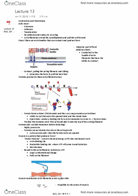 BIOL 201 Lecture Notes - Lecture 13: Cyclic Adenosine Monophosphate, Cell Membrane, Cdc42 thumbnail