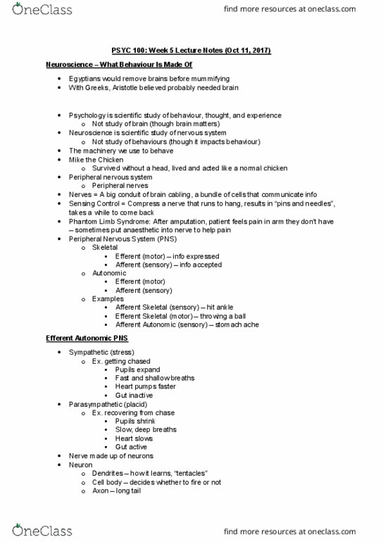 PSYC 100 Lecture Notes - Lecture 5: Acetylcholine, Brainstem, Peripheral Nervous System thumbnail