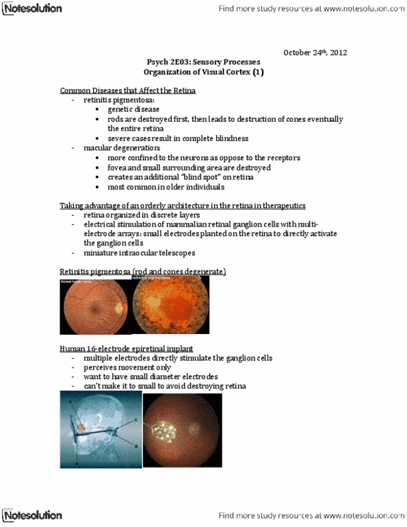 PSYCH 2E03 Lecture Notes - Retinitis Pigmentosa, Macular Degeneration, Visual Cortex thumbnail