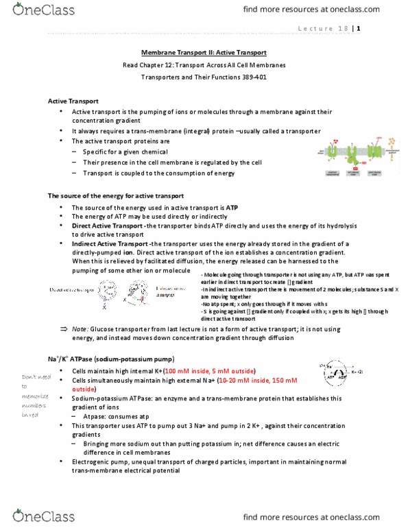 BIOL 2520 Lecture Notes - Lecture 18: Symporter, Human Genome, Parietal Cell thumbnail
