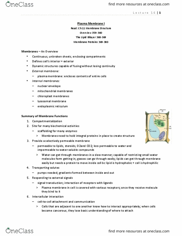 BIOL 2520 Lecture Notes - Lecture 16: Phosphatidylcholine, Heat Map, Ethanolamine thumbnail