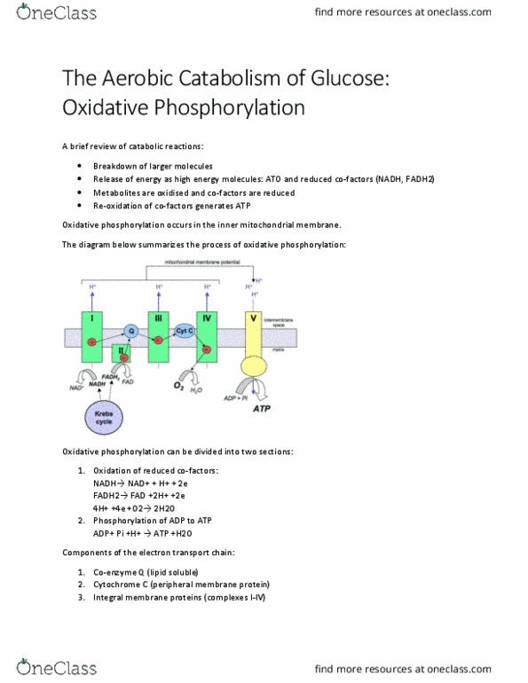 BIOCH200 Lecture 1: Oxidative phosphorylation: The electron transport chain thumbnail