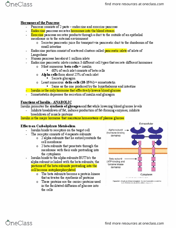BIOM 3200 Lecture Notes - Lecture 1: Glycolysis, Overeating, Phospholipid thumbnail