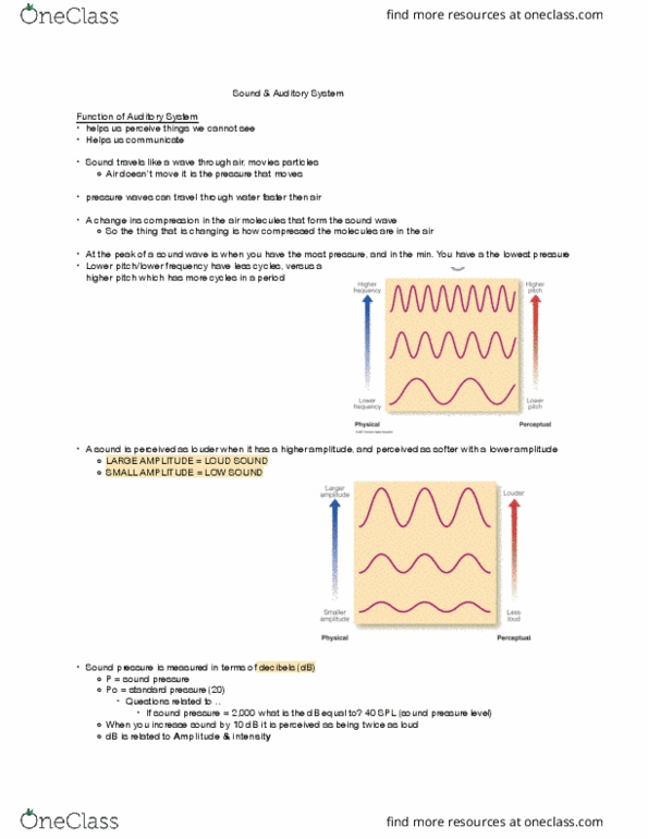 PSYC 2220 Lecture Notes - Lecture 11: Arnold Tongue, Presbycusis, Ossicles thumbnail