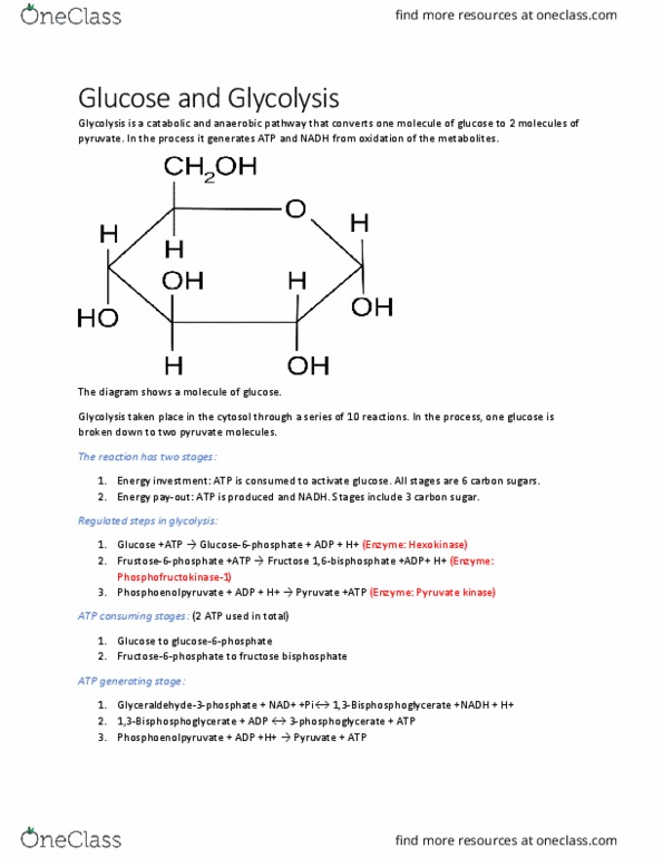 BIOCH200 Lecture Notes - Lecture 1: Pyruvic Acid, Fructose, Hexokinase thumbnail