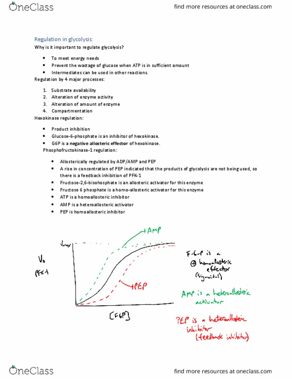 BIOCH200 Lecture Notes - Lecture 2: Glycogen, Hexokinase, Enzyme Inhibitor thumbnail