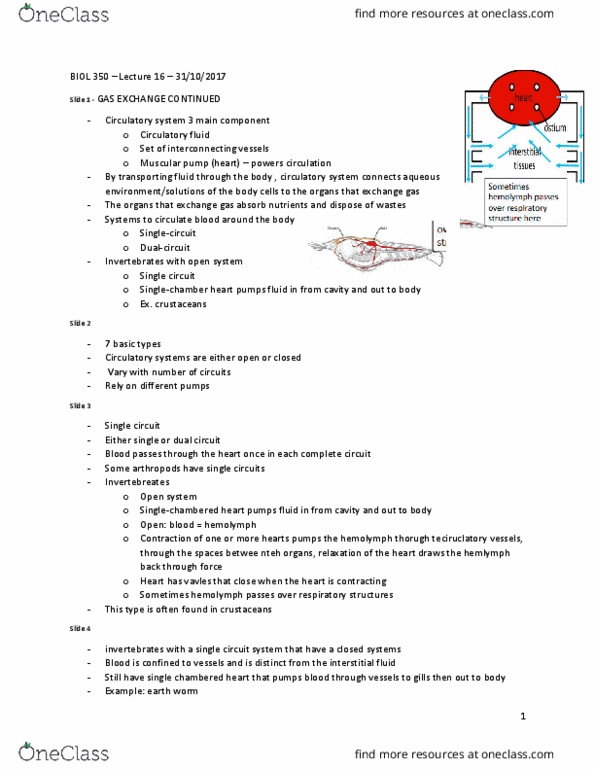 BIOL 350 Lecture Notes - Lecture 16: Torpor, Vasodilation, Countercurrent Exchange thumbnail