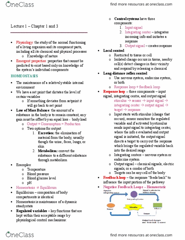 BPK 205 Lecture Notes - Lecture 1: Glycogen, Cholesterol, Endoplasmic Reticulum thumbnail