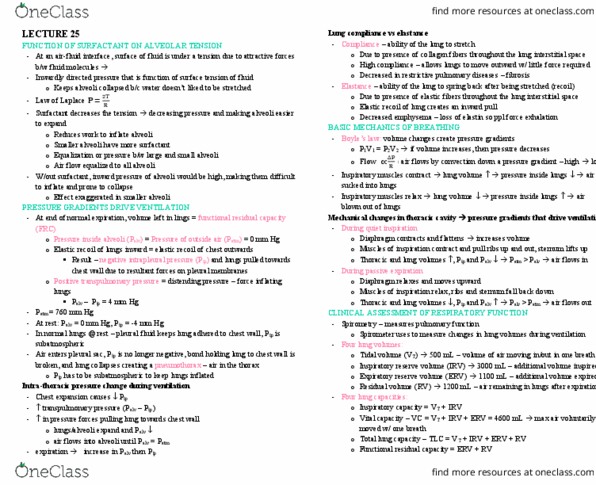BPK 205 Lecture Notes - Lecture 25: Functional Residual Capacity, Transpulmonary Pressure, Breathing thumbnail