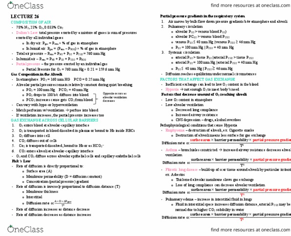 BPK 205 Lecture Notes - Lecture 26: Bronchiole, Endothelium, Chronic Obstructive Pulmonary Disease thumbnail