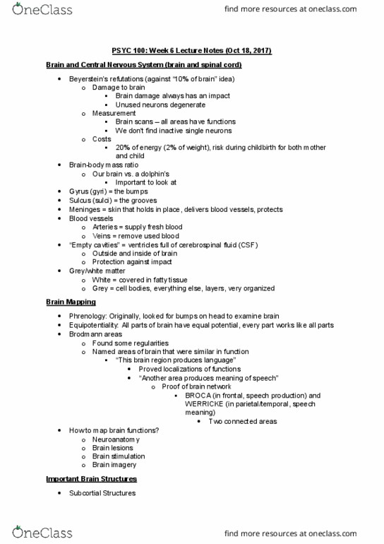 PSYC 100 Lecture Notes - Lecture 6: Parietal Lobe, Procedural Memory, Cerebellum thumbnail