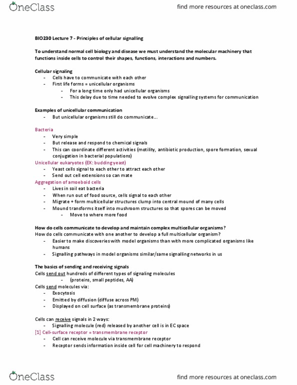 BIO230H1 Lecture Notes - Lecture 7: Cell Membrane, Protein Kinase, Sh3 Domain thumbnail