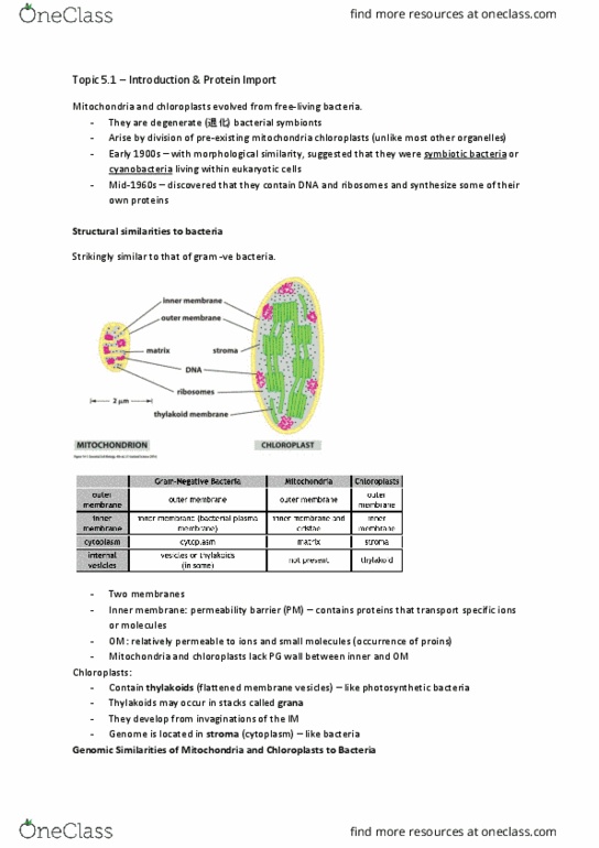 BIOL 200 Chapter Notes - Chapter 5: Ferredoxin, Ribulose, Rickettsia thumbnail