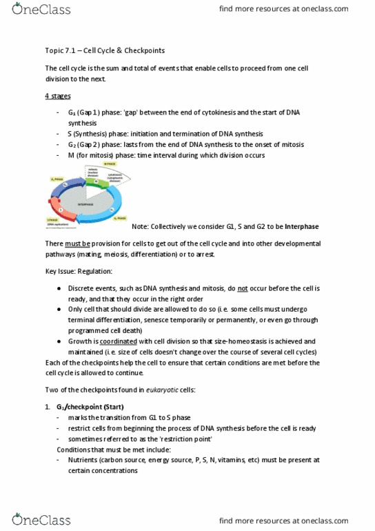 BIOL 200 Chapter Notes - Chapter 7: Dna Replication, Restriction Point, S Phase thumbnail