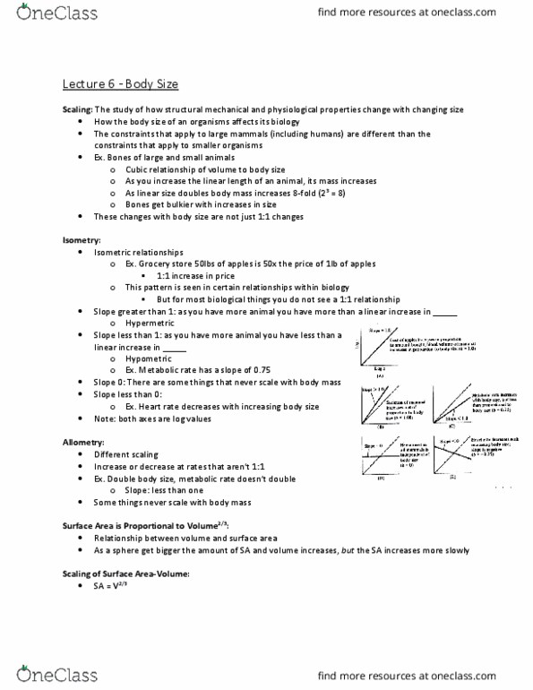 Biology 2601A/B Lecture Notes - Lecture 6: Heart Rate, Gas Exchange, Allometry thumbnail