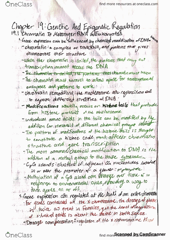 BIOL 1107 Chapter 19: Chapter 19 thumbnail