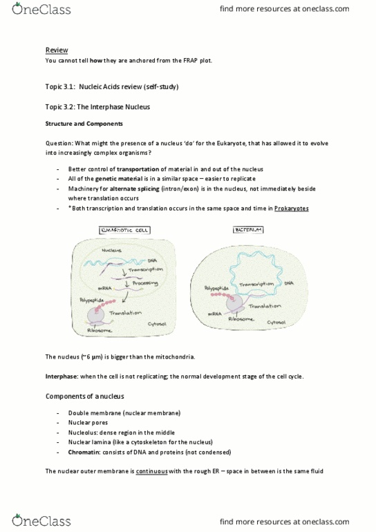 BIOL 200 Lecture Notes - Lecture 3: Chromatin, Nuclear Membrane, Active Transport thumbnail