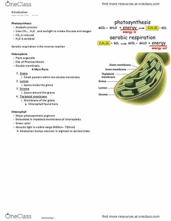 BIOLOGY 151 Lecture Notes - Lecture 25: Photosynthetic Pigment, Cellular Respiration, Thylakoid thumbnail