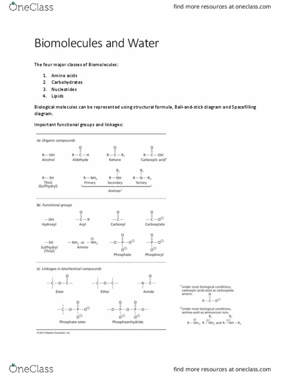 BIOCH200 Lecture Notes - Lecture 1: Van Der Waals Force, Glycosidic Bond, Peptide Bond thumbnail