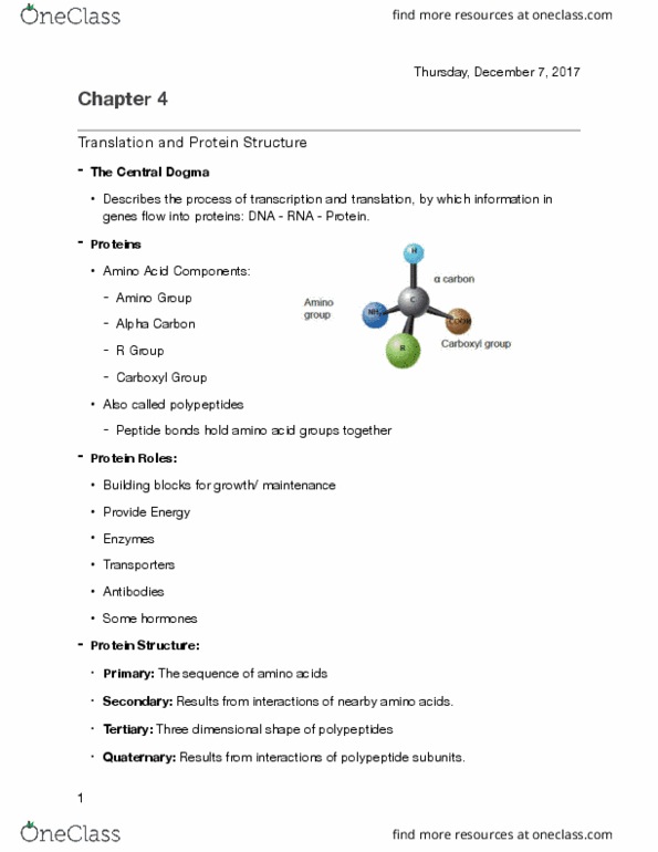 BI110 Chapter Notes - Chapter 4: Peptide, Release Factor, Sigma Factor thumbnail