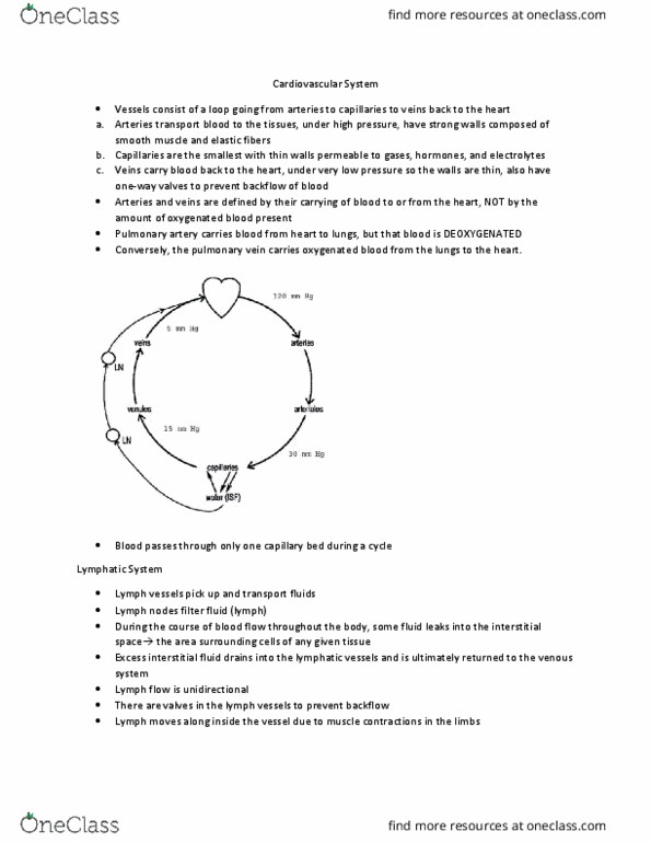 VIBS 305 Lecture Notes - Lecture 11: Pulmonary Vein, Pulmonary Valve, Extracellular Fluid thumbnail