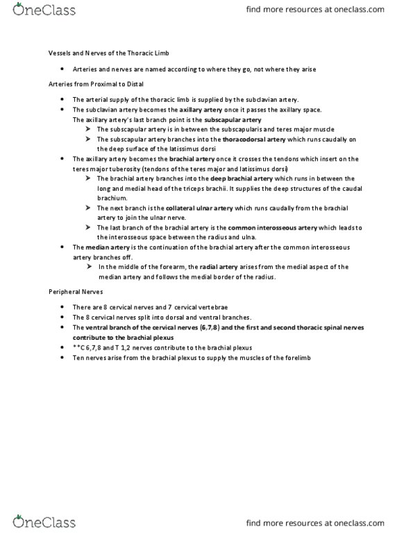 VIBS 305 Chapter Notes - Chapter 3: Deep Artery Of Arm, Teres Major Muscle, Brachial Plexus thumbnail