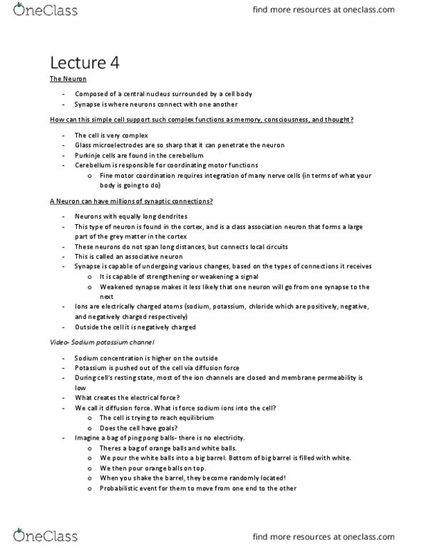 PSY397H5 Lecture Notes - Lecture 4: Table Tennis, Resting Potential, Brownian Motion thumbnail