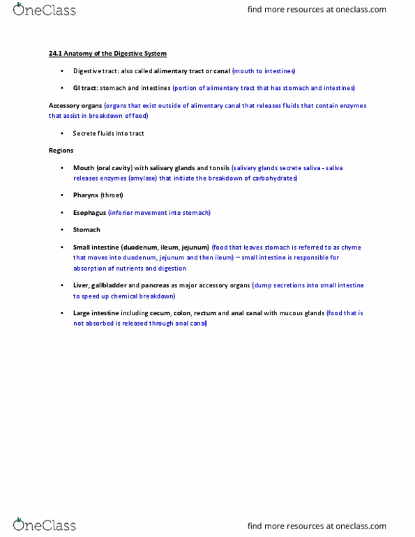 KINESIOL 2YY3 Lecture 9: Anatomy of the Digestive System thumbnail