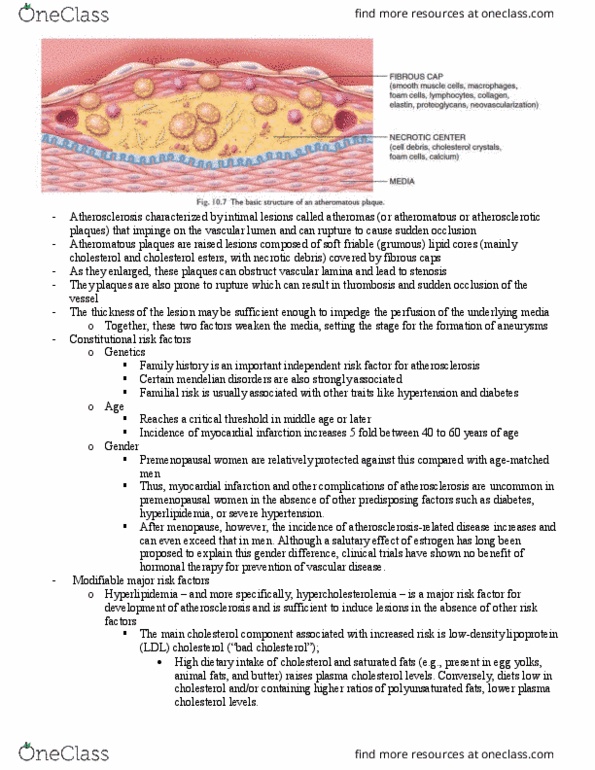 Pathology 2420A Chapter Notes - Chapter 7: Atheroma, Coronary Artery Disease, Low-Density Lipoprotein thumbnail